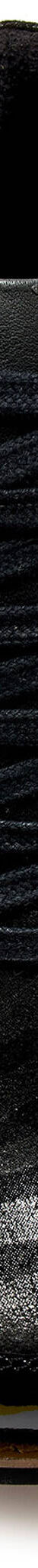 Boots cuir zippées et lacées grande largeur, motifs zébrés (noir) Boots cuir zippées et lacées grande largeur, motifs zébrés (noir)
